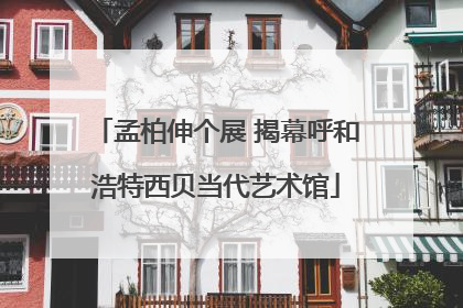 孟柏伸个展 揭幕呼和浩特西贝当代艺术馆