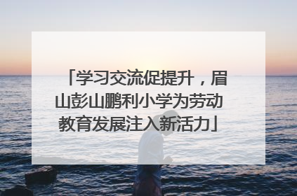 学习交流促提升，眉山彭山鹏利小学为劳动教育发展注入新活力