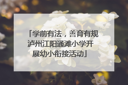 学前有法，善育有规 泸州江阳通滩小学开展幼小衔接活动