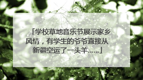 学校草地音乐节展示家乡风情，有学生的爷爷直接从新疆空运了一头羊……