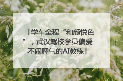 学车全程“和颜悦色”，武汉驾校学员偏爱不闹脾气的AI教练