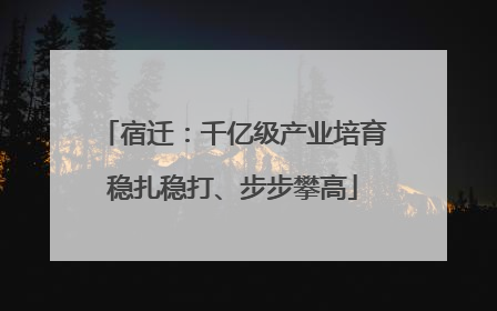 宿迁：千亿级产业培育稳扎稳打、步步攀高