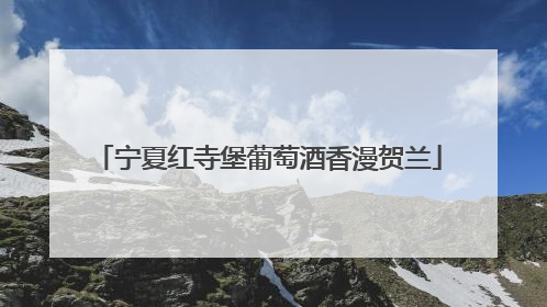 宁夏红寺堡葡萄酒香漫贺兰