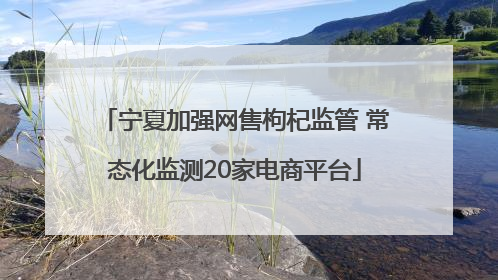 宁夏加强网售枸杞监管 常态化监测20家电商平台
