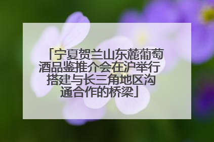 宁夏贺兰山东麓葡萄酒品鉴推介会在沪举行 搭建与长三角地区沟通合作的桥梁