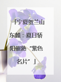 宁夏贺兰山东麓：夏日骄阳催熟“紫色名片”