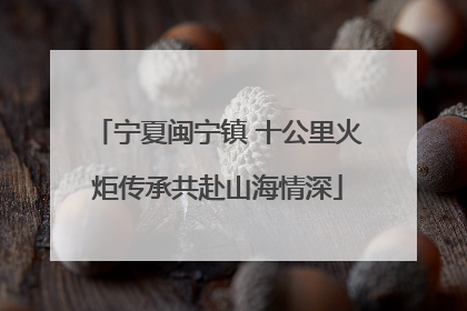 宁夏闽宁镇 十公里火炬传承共赴山海情深