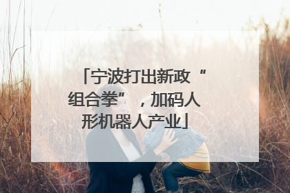 宁波打出新政“组合拳”，加码人形机器人产业
