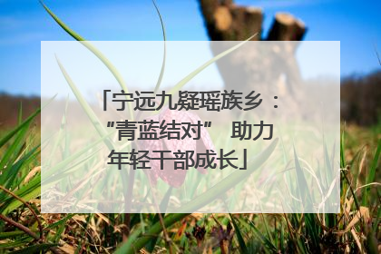 宁远九疑瑶族乡：“青蓝结对” 助力年轻干部成长