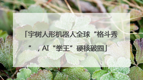 宇树人形机器人全球“格斗秀”，AI“拳王”硬核破圈