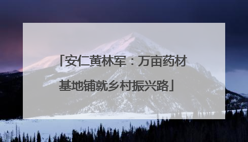 安仁黄林军：万亩药材基地铺就乡村振兴路