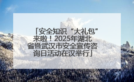 安全知识“大礼包”来啦！2025年湖北省暨武汉市安全宣传咨询日活动在汉举行