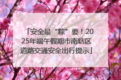安全最“粽”要！2025年端午假期市南辖区道路交通安全出行提示