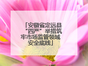 安徽省定远县“四严”举措筑牢市场监管领域安全底线