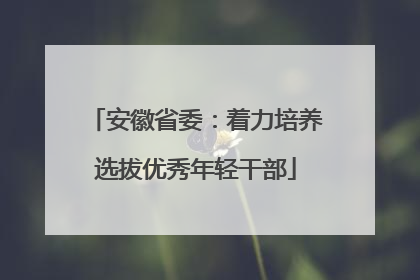 安徽省委：着力培养选拔优秀年轻干部
