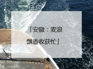 安徽：麦浪飘香收获忙