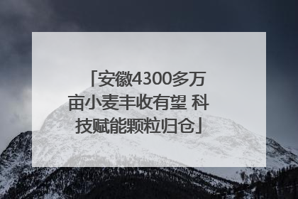 安徽4300多万亩小麦丰收有望 科技赋能颗粒归仓