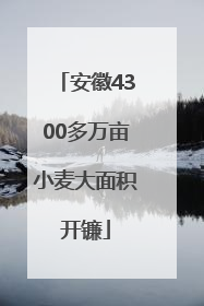 安徽4300多万亩小麦大面积开镰