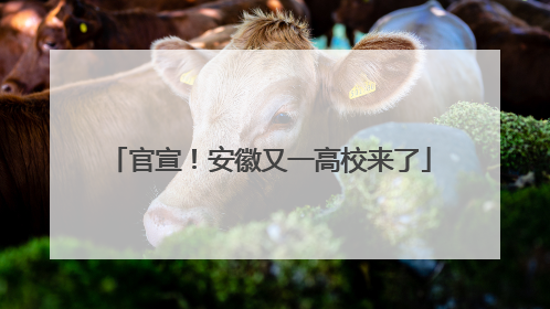 官宣！安徽又一高校来了
