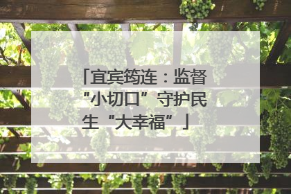 宜宾筠连：监督“小切口”守护民生“大幸福”
