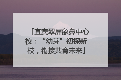 宜宾翠屏象鼻中心校：“幼芽”初探新枝，衔接共育未来