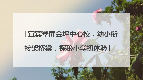 宜宾翠屏金坪中心校：幼小衔接架桥梁，探秘小学初体验