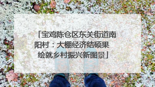 宝鸡陈仓区东关街道南阳村：大棚经济结硕果 绘就乡村振兴新图景