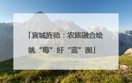 宣城旌德：农旅融合绘就“莓”好“蓝”图