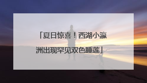 夏日惊喜！西湖小瀛洲出现罕见双色睡莲