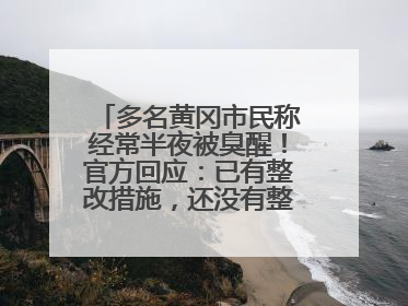 多名黄冈市民称经常半夜被臭醒！官方回应：已有整改措施，还没有整改情况