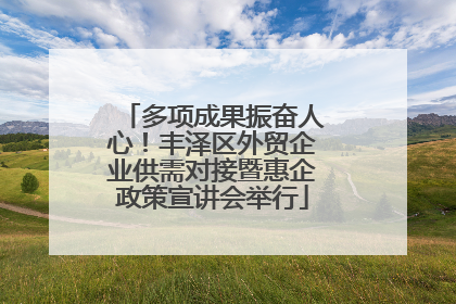多项成果振奋人心！丰泽区外贸企业供需对接暨惠企政策宣讲会举行