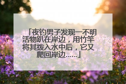 夜钓男子发现一不明活物趴在岸边，用竹竿将其拨入水中后，它又爬回岸边……