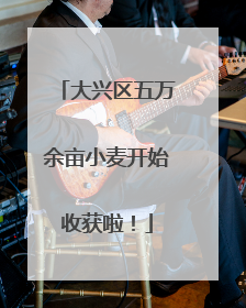 大兴区五万余亩小麦开始收获啦！