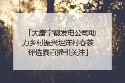 大唐宁德发电公司助力乡村振兴坦洋村春茶评选赛直播引关注