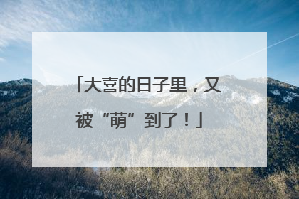 大喜的日子里，又被“萌”到了！