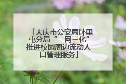 大庆市公安局卧里屯分局“一网三化”推进校园周边流动人口管理服务
