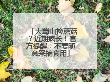 大蜀山捡蘑菇？近期疯长！官方提醒：不要随意采摘食用