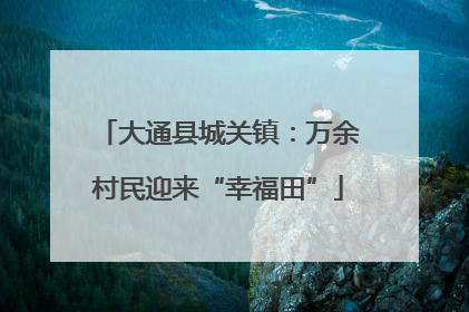 大通县城关镇：万余村民迎来“幸福田”