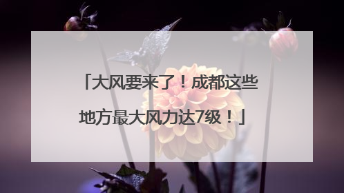 大风要来了！成都这些地方最大风力达7级！