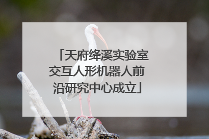 天府绛溪实验室交互人形机器人前沿研究中心成立
