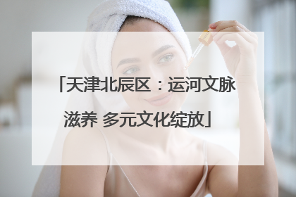 天津北辰区：运河文脉滋养 多元文化绽放