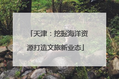 天津：挖掘海洋资源打造文旅新业态