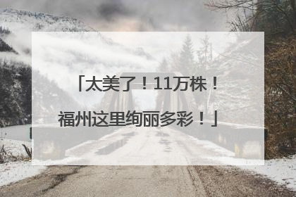 太美了！11万株！福州这里绚丽多彩！