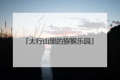 太行山里的猕猴乐园