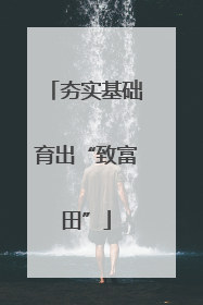 夯实基础育出“致富田”