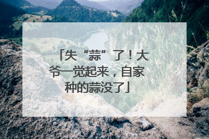 失“蒜”了！大爷一觉起来，自家种的蒜没了
