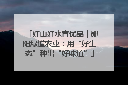 好山好水育优品｜郧阳绿道农业：用“好生态”种出“好味道”