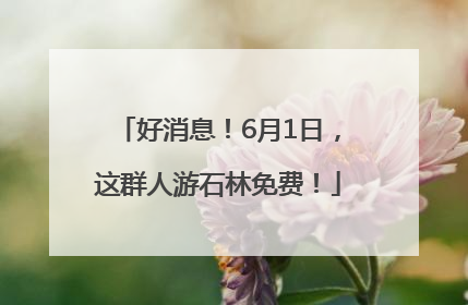 好消息！6月1日，这群人游石林免费！