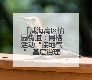 威海高区怡园街道：网格活动“接地气” 基层治理“添活力”