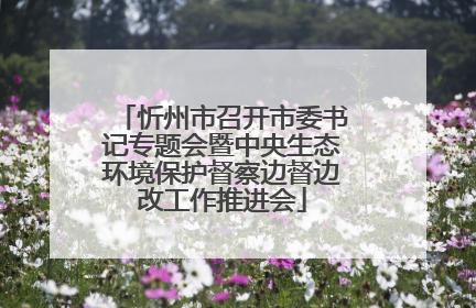 忻州市召开市委书记专题会暨中央生态环境保护督察边督边改工作推进会